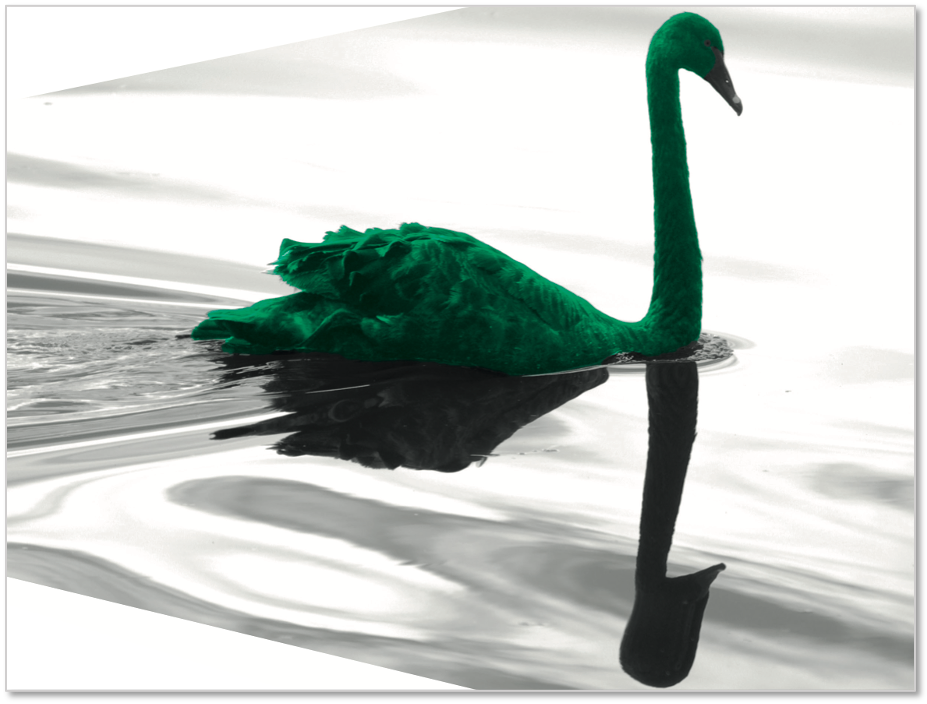 swan analysis